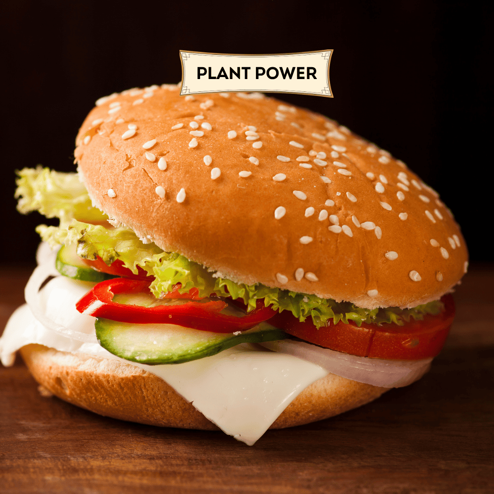 PLANT POWER
